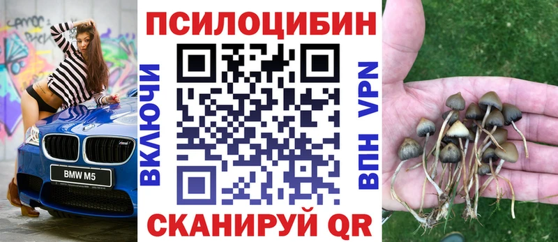 Галлюциногенные грибы мухоморы  закладка  Курганинск 