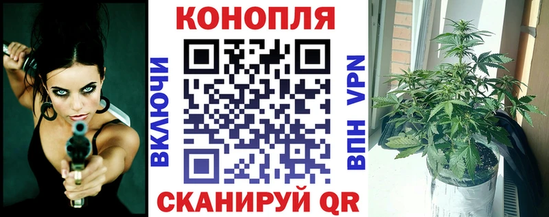 магазин продажи наркотиков  Курганинск  Шишки марихуана AK-47 